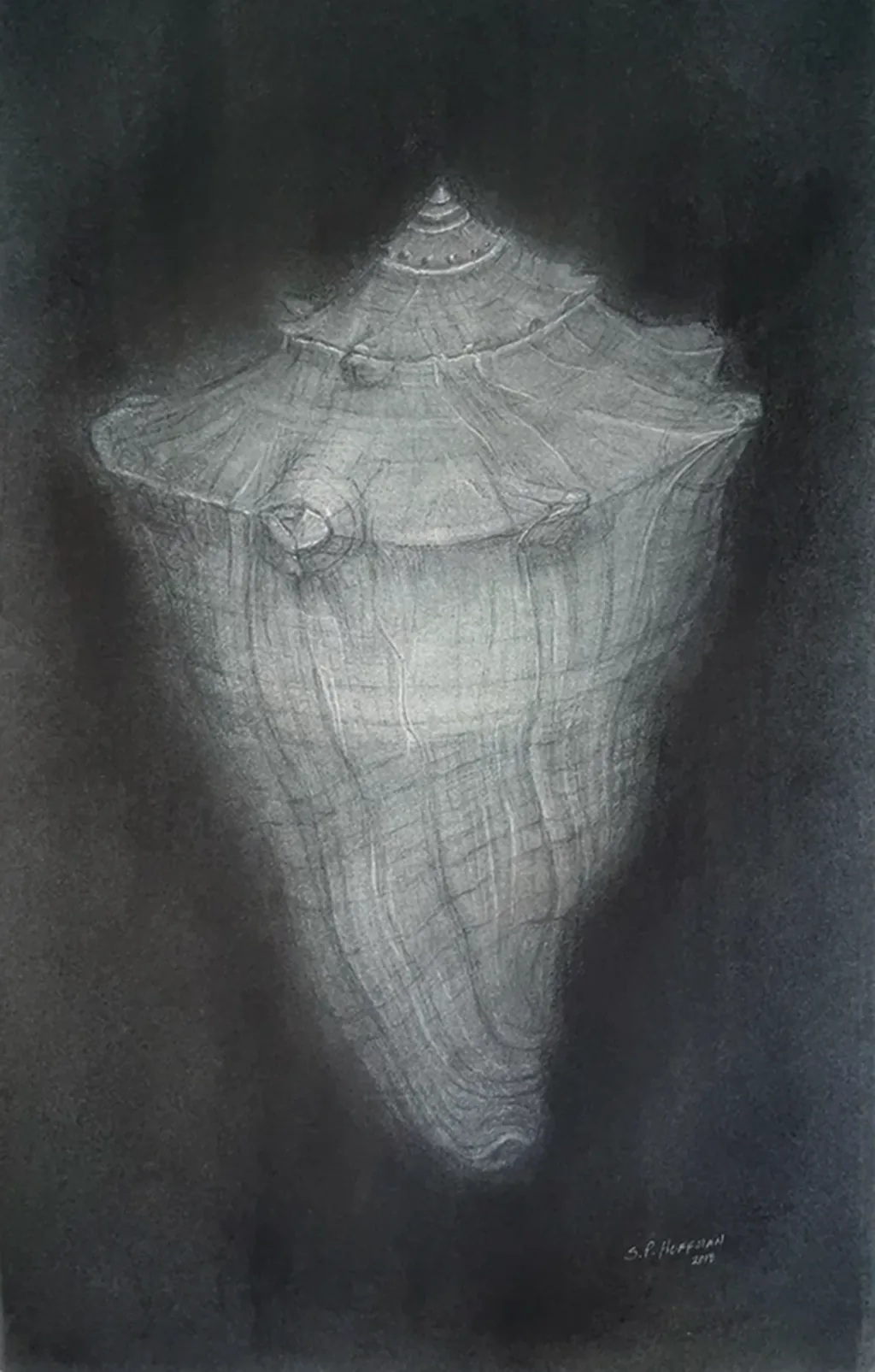 Atlantic Whelk