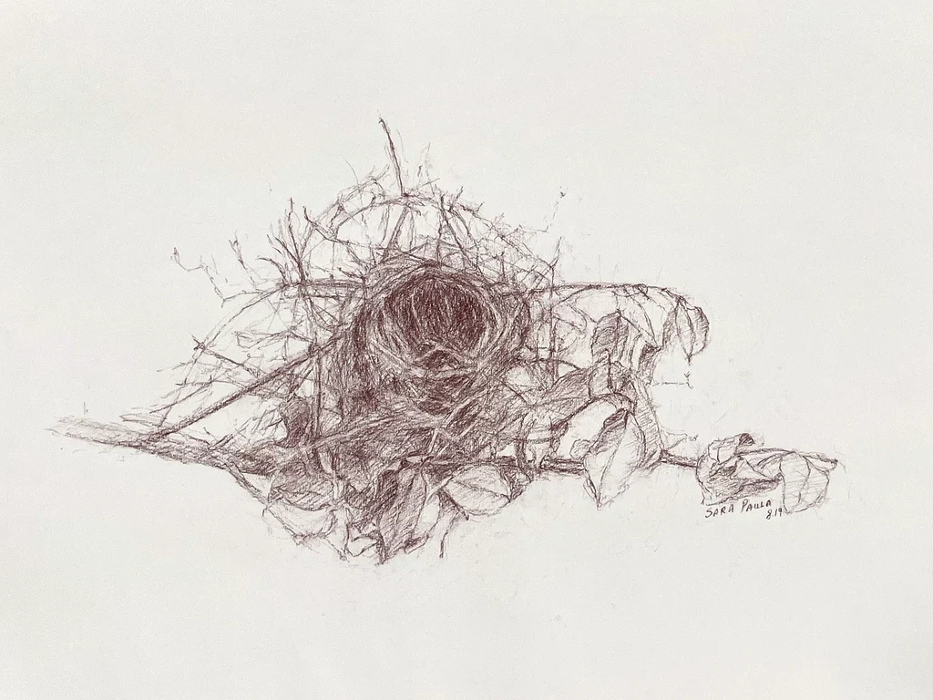 Nest 2019