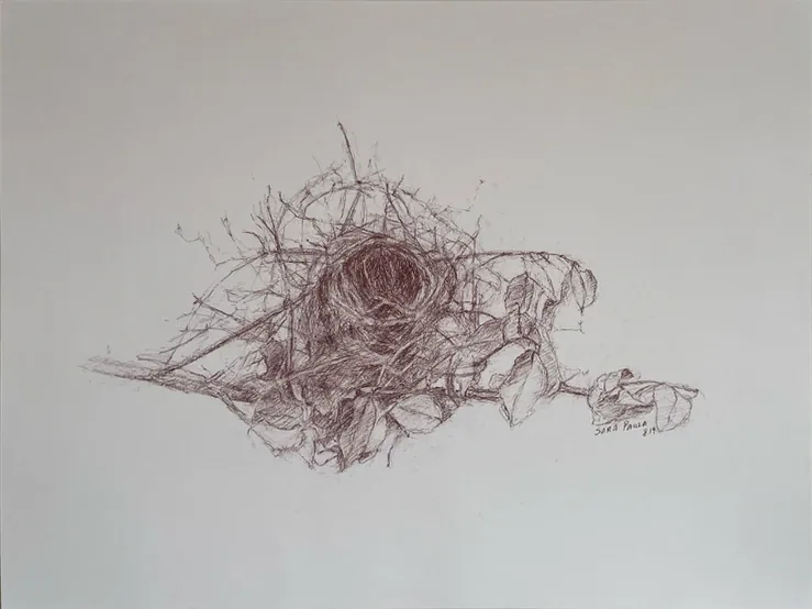 Nest 2019