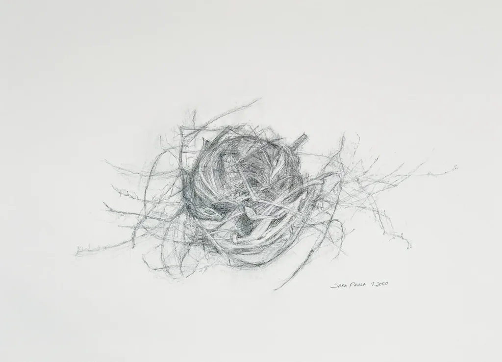 Nest 2020