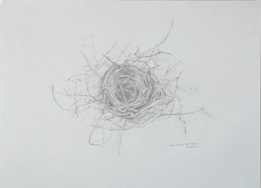 Nest 2020