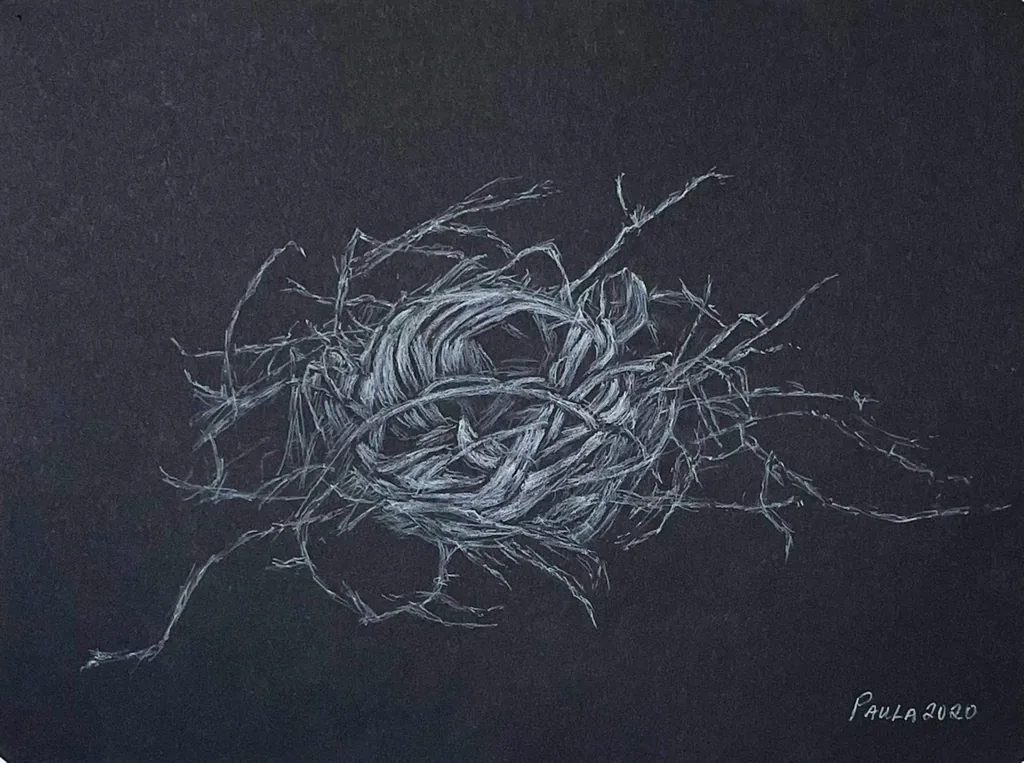 Nest, study 2020