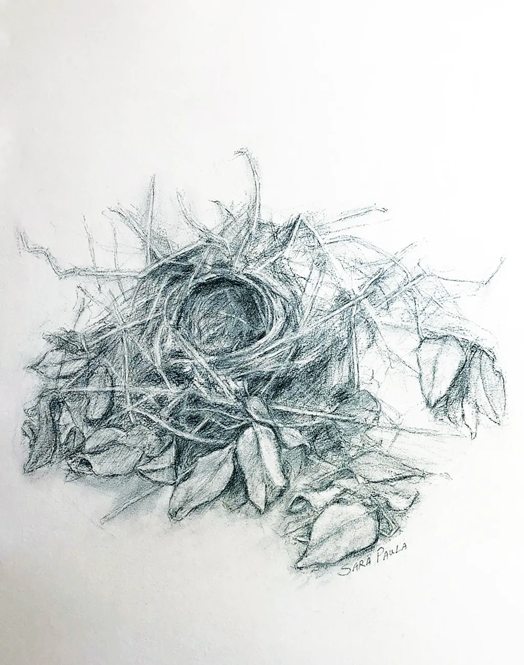 Nesting 2019