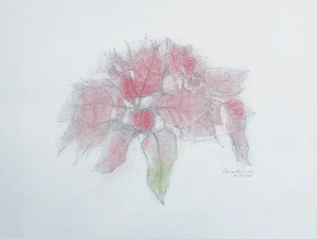 Poinsettia