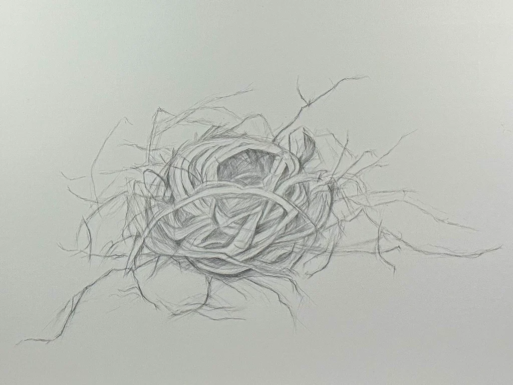Nest, silverpoint