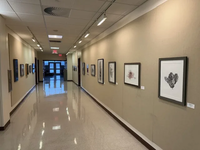 Installation view, Forms of Nature