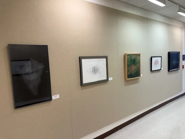 Installation view, Forms of Nature