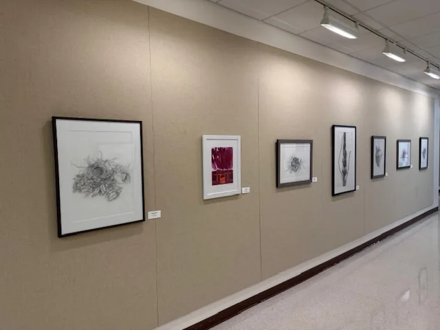 Installation view, Forms of Nature