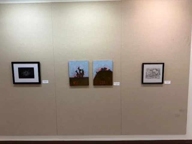 Installation view, Forms of Nature